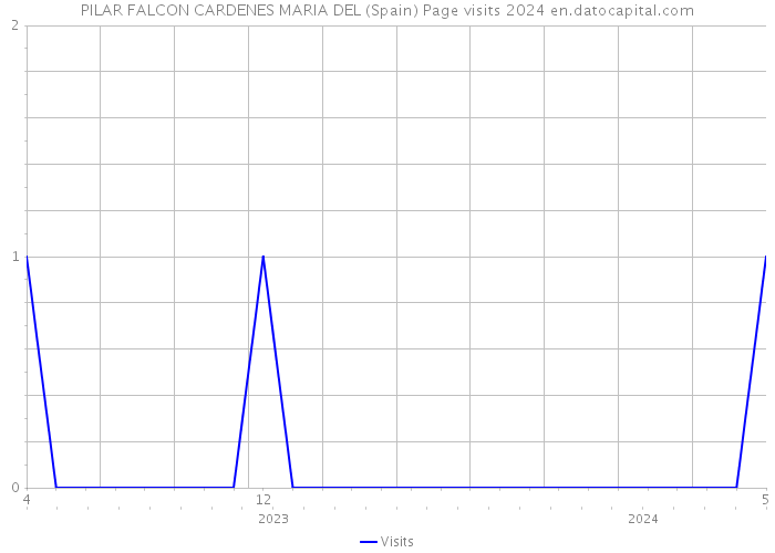 PILAR FALCON CARDENES MARIA DEL (Spain) Page visits 2024 