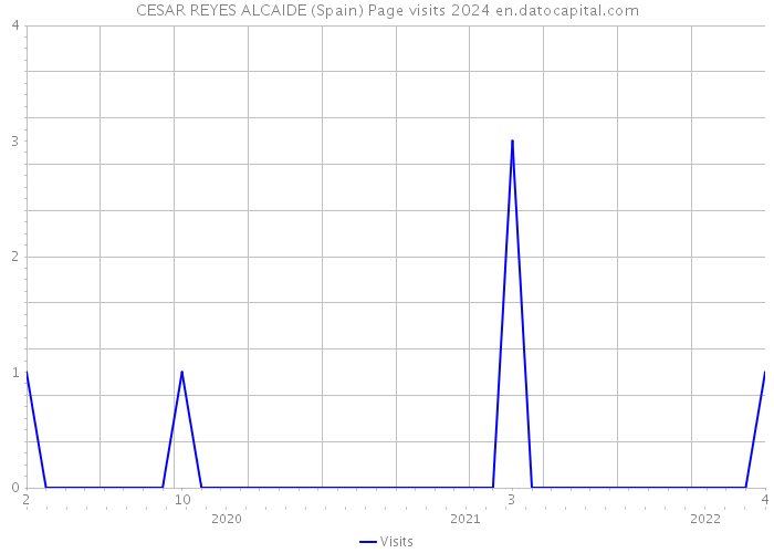 CESAR REYES ALCAIDE (Spain) Page visits 2024 