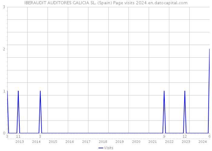 IBERAUDIT AUDITORES GALICIA SL. (Spain) Page visits 2024 