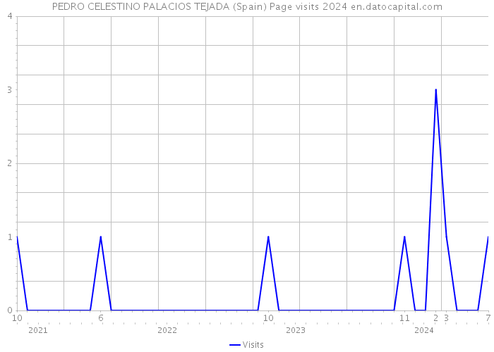 PEDRO CELESTINO PALACIOS TEJADA (Spain) Page visits 2024 