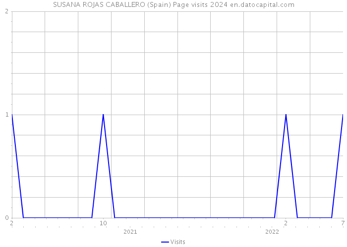 SUSANA ROJAS CABALLERO (Spain) Page visits 2024 