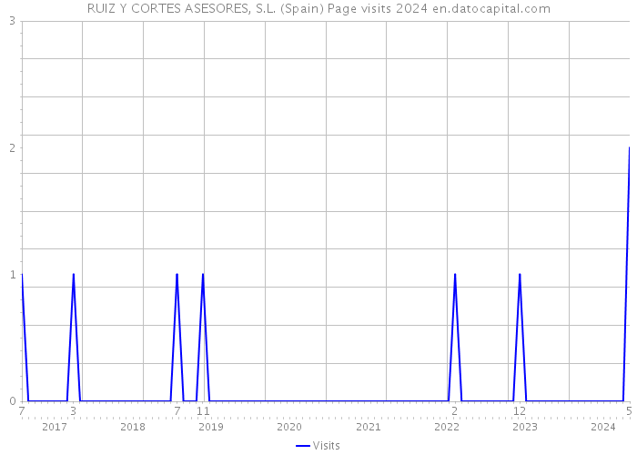 RUIZ Y CORTES ASESORES, S.L. (Spain) Page visits 2024 