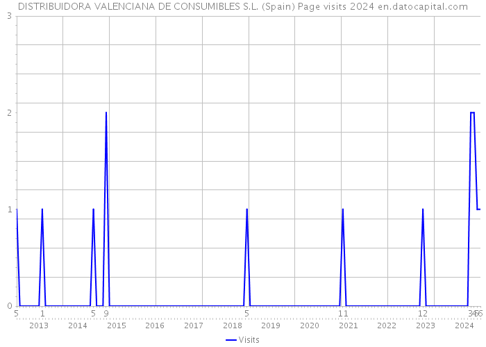 DISTRIBUIDORA VALENCIANA DE CONSUMIBLES S.L. (Spain) Page visits 2024 
