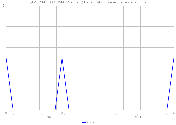 JAVIER NIETO COSIALLS (Spain) Page visits 2024 