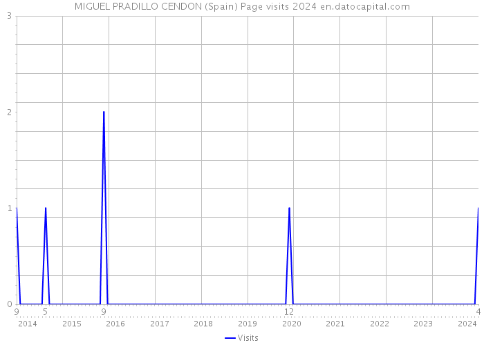 MIGUEL PRADILLO CENDON (Spain) Page visits 2024 