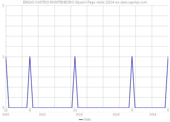 EMILIO CASTRO MONTENEGRO (Spain) Page visits 2024 