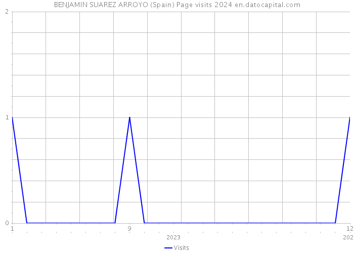 BENJAMIN SUAREZ ARROYO (Spain) Page visits 2024 