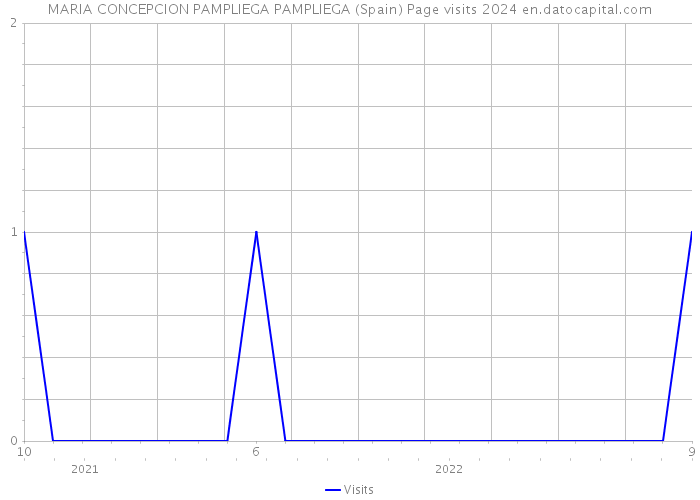 MARIA CONCEPCION PAMPLIEGA PAMPLIEGA (Spain) Page visits 2024 