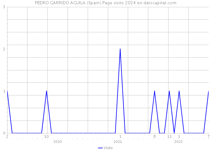 PEDRO GARRIDO AGUILA (Spain) Page visits 2024 
