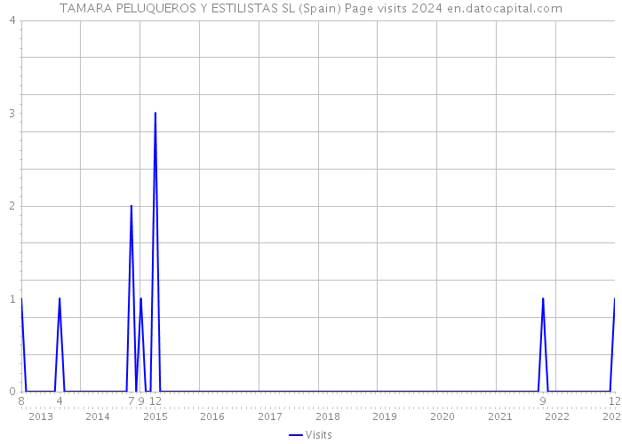 TAMARA PELUQUEROS Y ESTILISTAS SL (Spain) Page visits 2024 