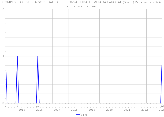 COMPES FLORISTERIA SOCIEDAD DE RESPONSABILIDAD LIMITADA LABORAL (Spain) Page visits 2024 