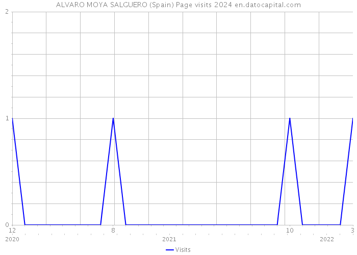 ALVARO MOYA SALGUERO (Spain) Page visits 2024 