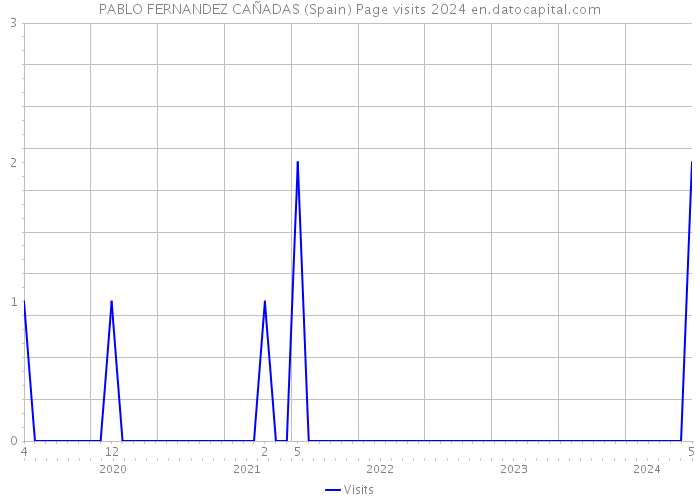 PABLO FERNANDEZ CAÑADAS (Spain) Page visits 2024 