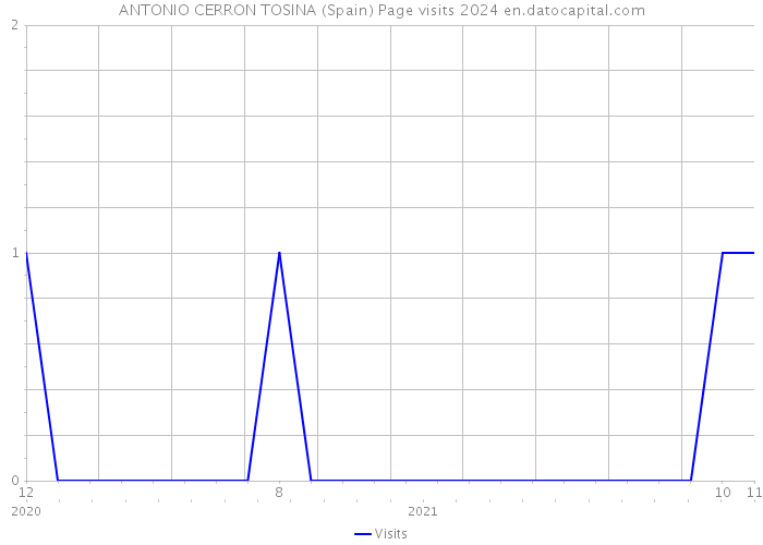 ANTONIO CERRON TOSINA (Spain) Page visits 2024 