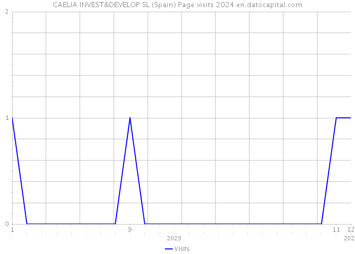 CAELIA INVEST&DEVELOP SL (Spain) Page visits 2024 