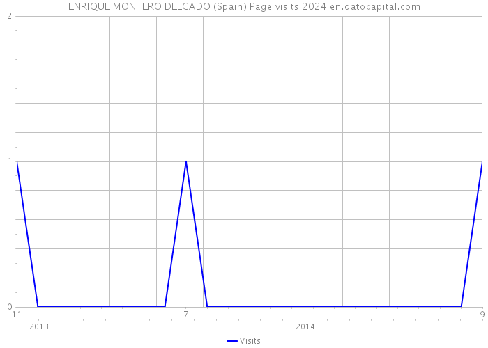 ENRIQUE MONTERO DELGADO (Spain) Page visits 2024 