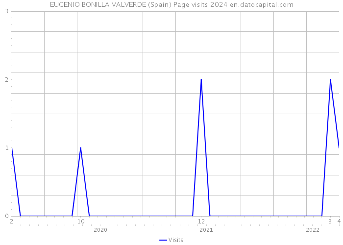EUGENIO BONILLA VALVERDE (Spain) Page visits 2024 