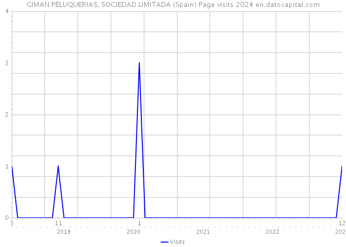 GIMAN PELUQUERIAS, SOCIEDAD LIMITADA (Spain) Page visits 2024 