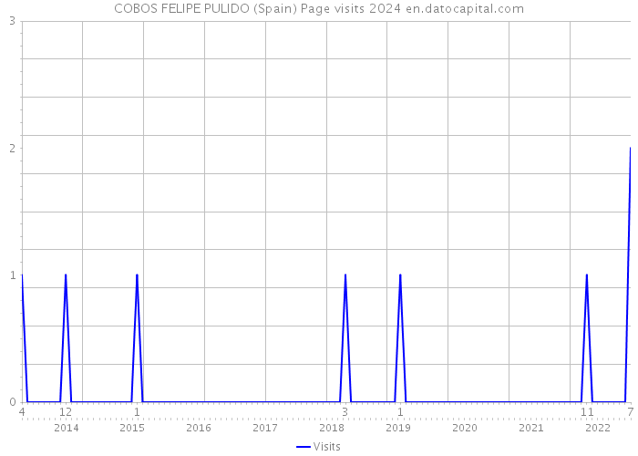COBOS FELIPE PULIDO (Spain) Page visits 2024 