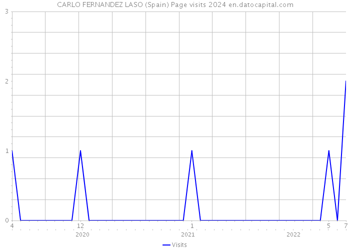 CARLO FERNANDEZ LASO (Spain) Page visits 2024 