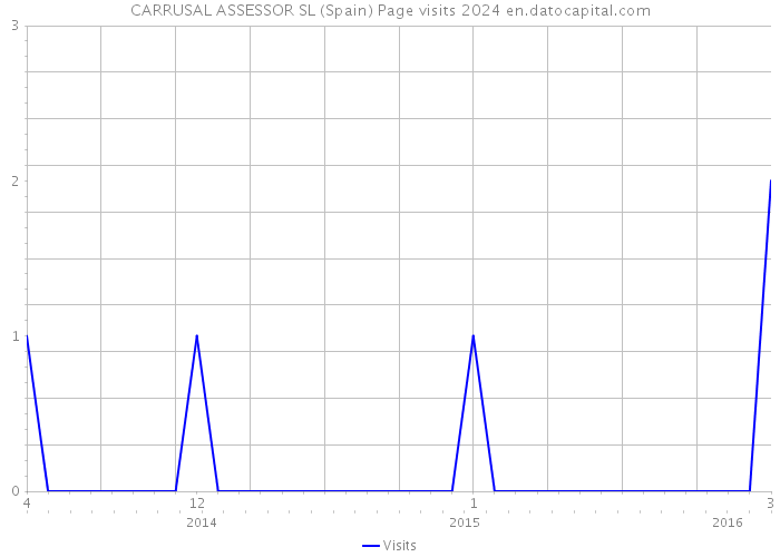CARRUSAL ASSESSOR SL (Spain) Page visits 2024 