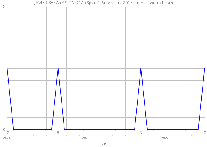 JAVIER BENAYAS GARCIA (Spain) Page visits 2024 