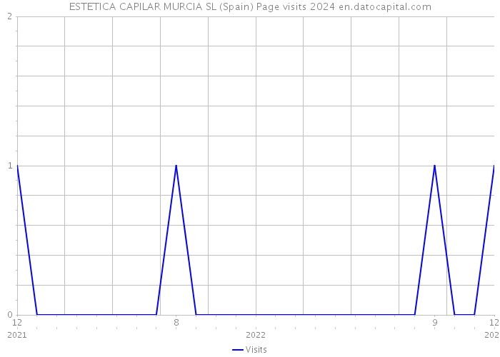 ESTETICA CAPILAR MURCIA SL (Spain) Page visits 2024 
