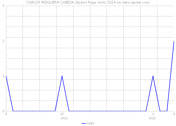 CARLOS PESQUERA CABEZA (Spain) Page visits 2024 