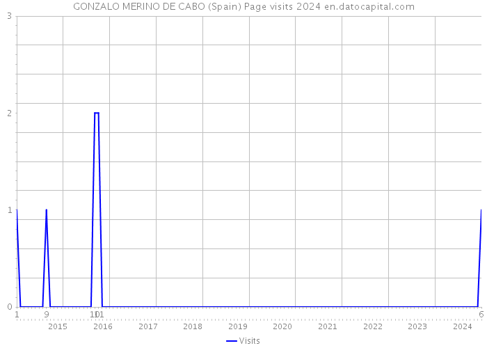 GONZALO MERINO DE CABO (Spain) Page visits 2024 