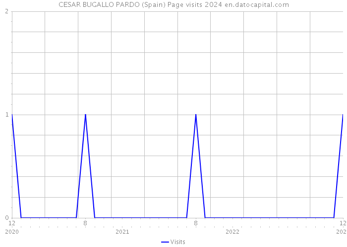 CESAR BUGALLO PARDO (Spain) Page visits 2024 