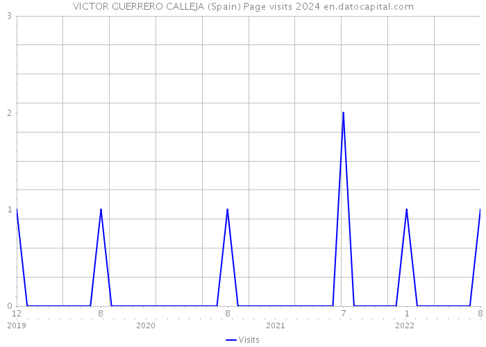 VICTOR GUERRERO CALLEJA (Spain) Page visits 2024 