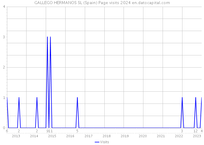 GALLEGO HERMANOS SL (Spain) Page visits 2024 