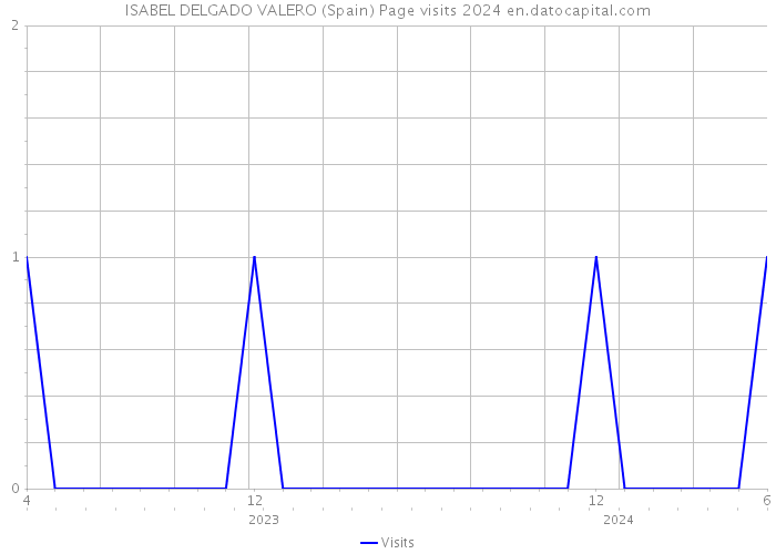 ISABEL DELGADO VALERO (Spain) Page visits 2024 