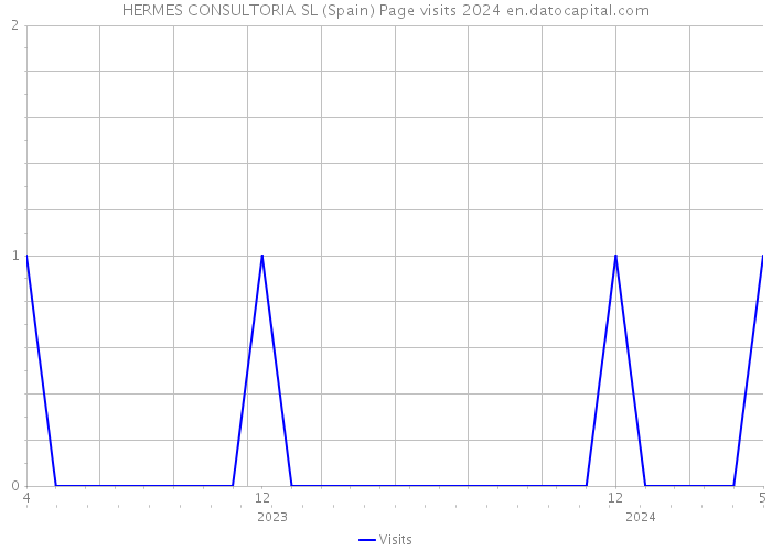 HERMES CONSULTORIA SL (Spain) Page visits 2024 