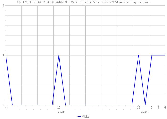 GRUPO TERRACOTA DESARROLLOS SL (Spain) Page visits 2024 