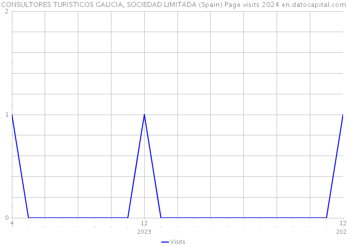 CONSULTORES TURISTICOS GALICIA, SOCIEDAD LIMITADA (Spain) Page visits 2024 