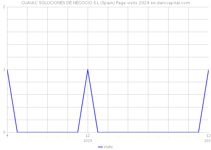 GUAIAC SOLUCIONES DE NEGOCIO S.L (Spain) Page visits 2024 