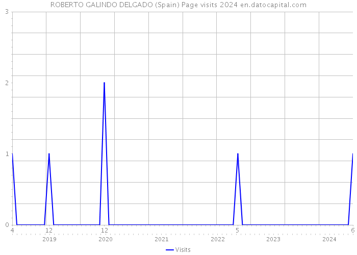 ROBERTO GALINDO DELGADO (Spain) Page visits 2024 