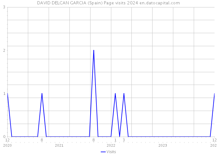 DAVID DELCAN GARCIA (Spain) Page visits 2024 