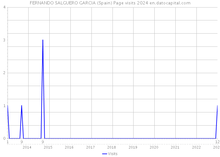 FERNANDO SALGUERO GARCIA (Spain) Page visits 2024 