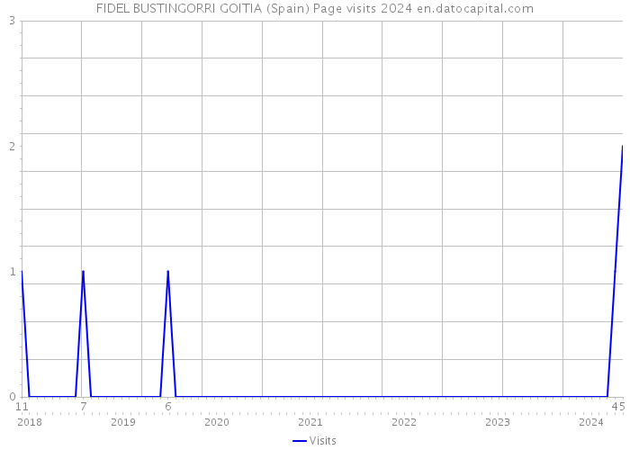 FIDEL BUSTINGORRI GOITIA (Spain) Page visits 2024 