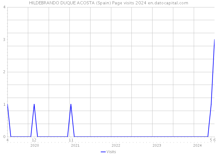 HILDEBRANDO DUQUE ACOSTA (Spain) Page visits 2024 