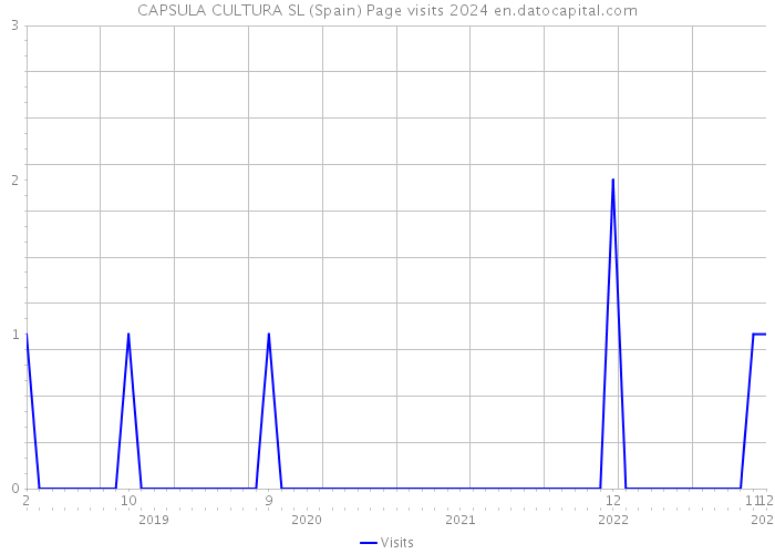 CAPSULA CULTURA SL (Spain) Page visits 2024 