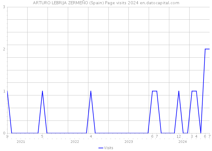 ARTURO LEBRIJA ZERMEÑO (Spain) Page visits 2024 