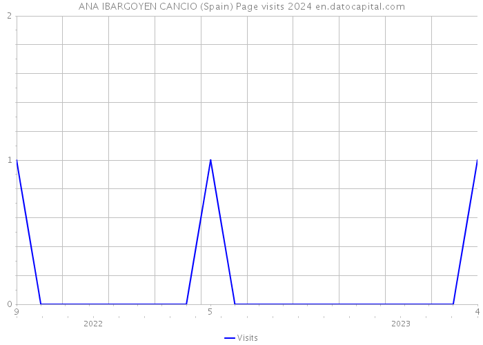 ANA IBARGOYEN CANCIO (Spain) Page visits 2024 