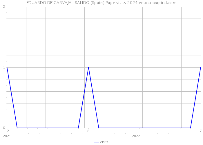 EDUARDO DE CARVAJAL SALIDO (Spain) Page visits 2024 