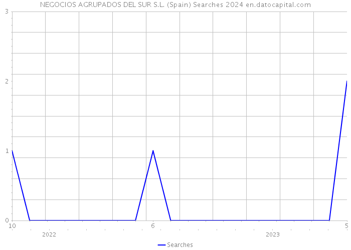 NEGOCIOS AGRUPADOS DEL SUR S.L. (Spain) Searches 2024 