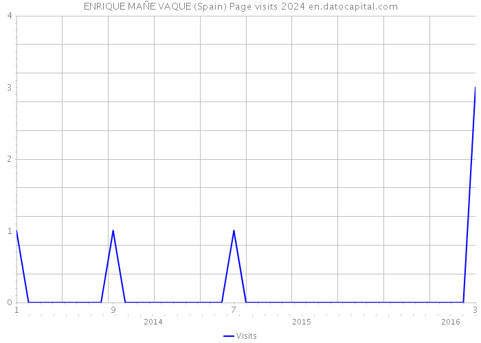 ENRIQUE MAÑE VAQUE (Spain) Page visits 2024 