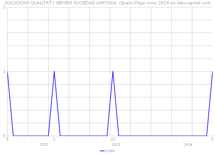 SOLUCIONS QUALITAT I SERVEIS SOCIEDAD LIMITADA. (Spain) Page visits 2024 