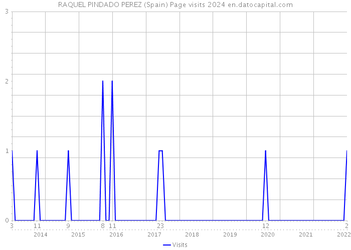 RAQUEL PINDADO PEREZ (Spain) Page visits 2024 